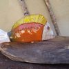 Pesce PICASSO - immagine 5