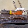 Pesce PICASSO - immagine 2