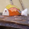 Pesce PICASSO - immagine 4