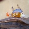 Pesce PICASSO