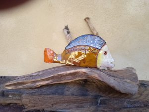 Pesce PICASSO