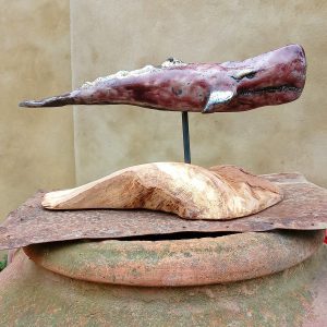 Moby Dick - immagine 4