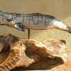 Megattera "Grey Whale" - immagine 11