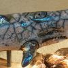Megattera "Grey Whale" - immagine 3