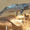 Megattera "Grey Whale" - immagine 2