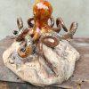 "OCTOPUS," Collection - immagine 2
