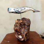 Cetacei Collection Mod. #010 Capodoglio