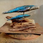 Cetacei